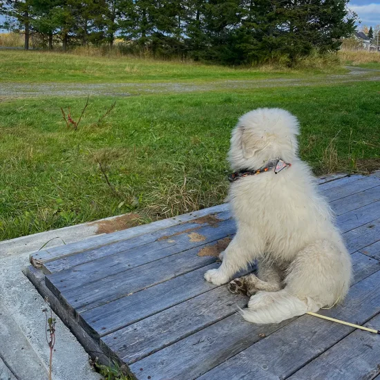 Photo de Vishnu qui contemple le paysage